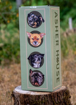 Cargar imagen en el visor de la galería, Camas para perros Asher House Wellness (2 tamaños)
