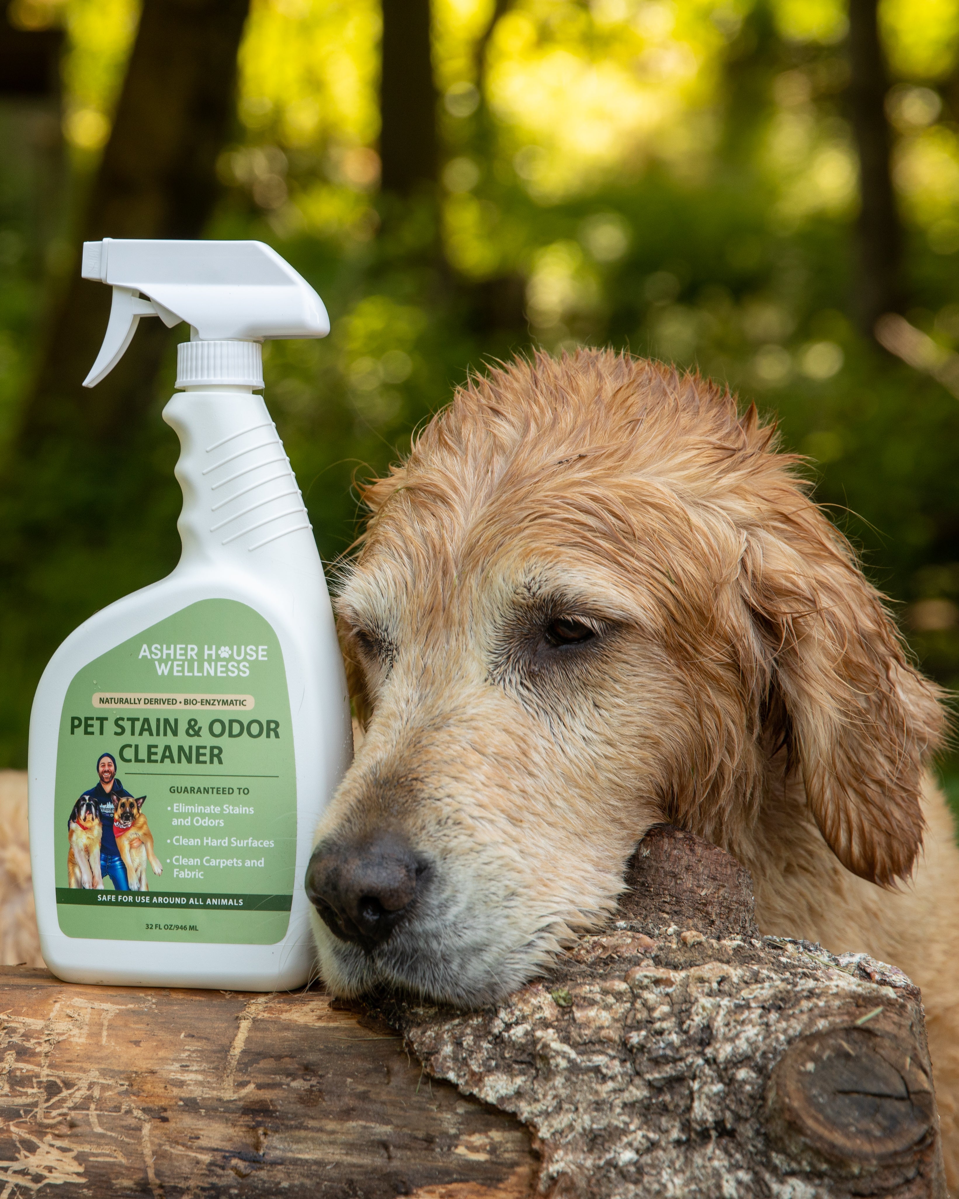 Asher House Wellness Limpiador de manchas y olores para mascotas (32 FL OZ)