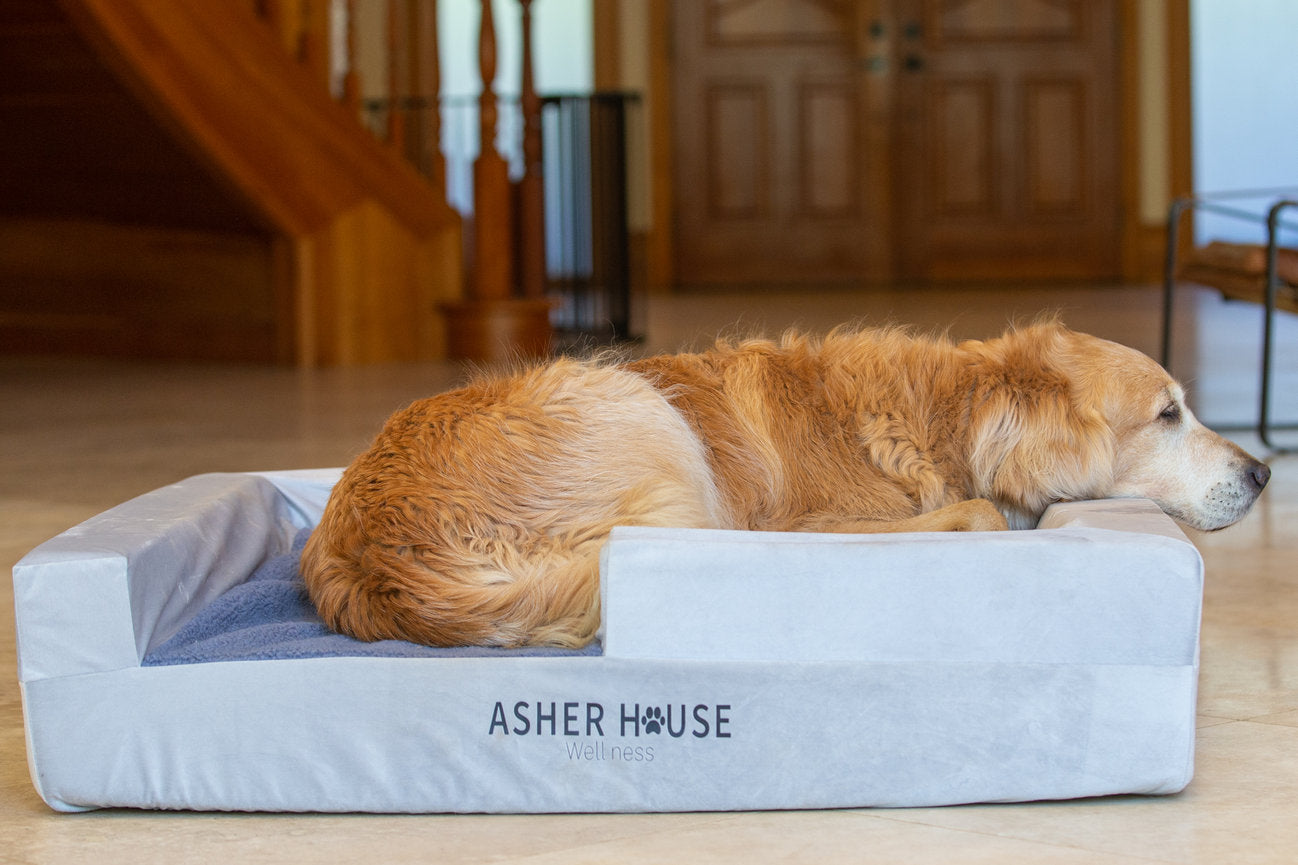 Camas para perros Asher House Wellness (2 tamaños)