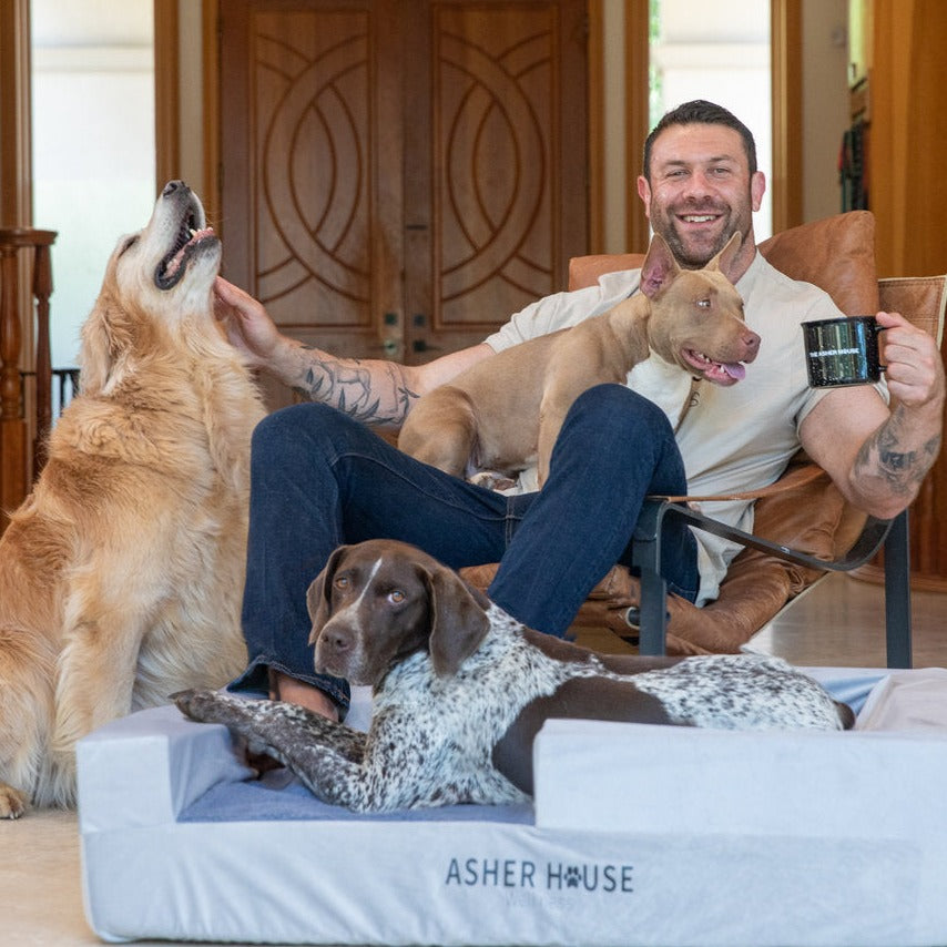 Asher House Wellness Dog Beds (2 Sizes)