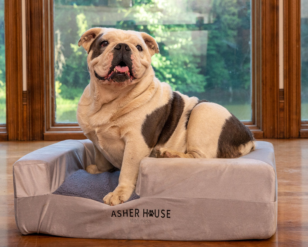 Lits pour chiens Asher House Wellness (2 tailles)